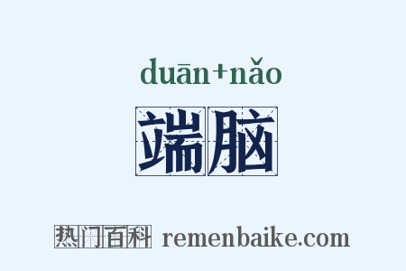 端脑是什么意思的图片